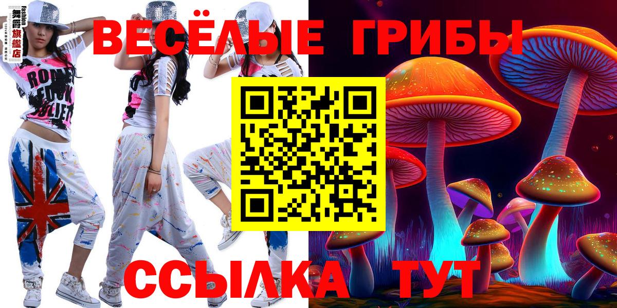Галлюциногенные грибы GOLDEN TEACHER Тихвин