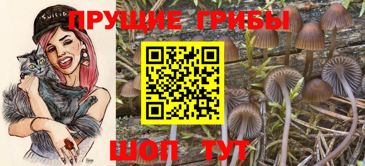 Псилоцибиновые грибы Magic Shrooms  Галлюциногенные грибы Psilocybe  Тихвин  Вход с VPN 
